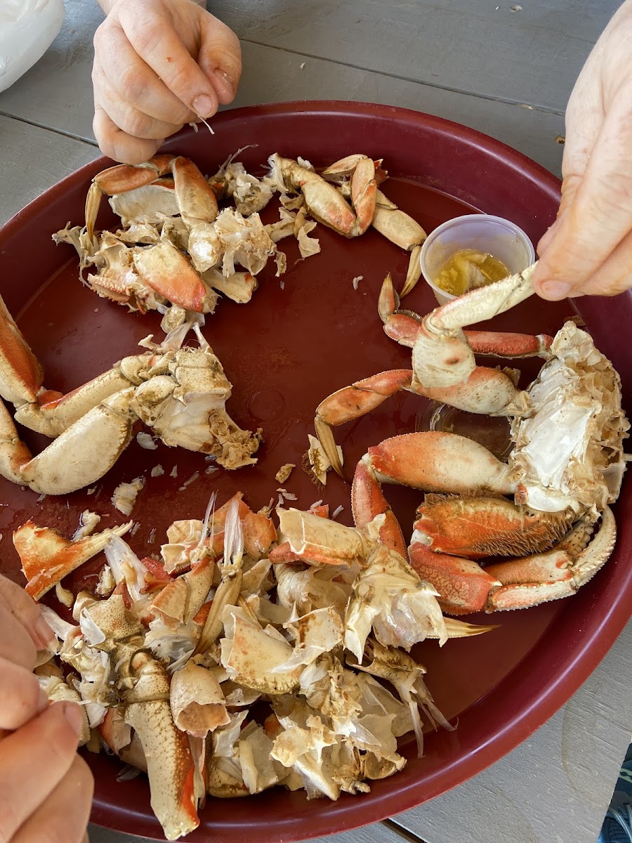 Swamp Donkey's Seafood-10