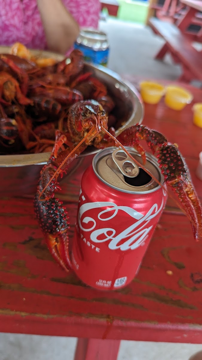 Swamp Donkey's Seafood-5